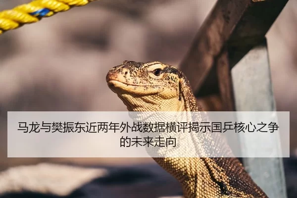 马龙与樊振东近两年外战数据横评揭示国乒核心之争的未来走向
