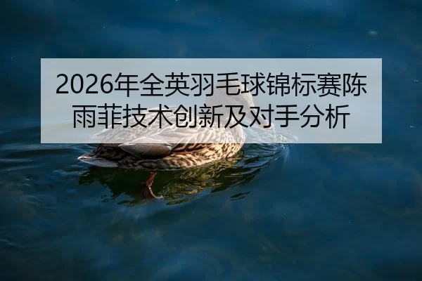 nian-quan-ying-yu-mao-qiu-jin-biao-sai-chen-yu-fei-ji-shu-chuang-xin-ji-dui-shou-fen-xi-2-451.jpg